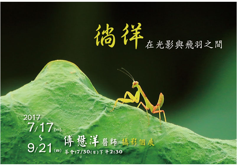 傅懋洋攝影展