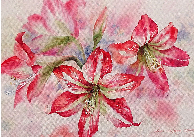 芬芳, 賴欣芳