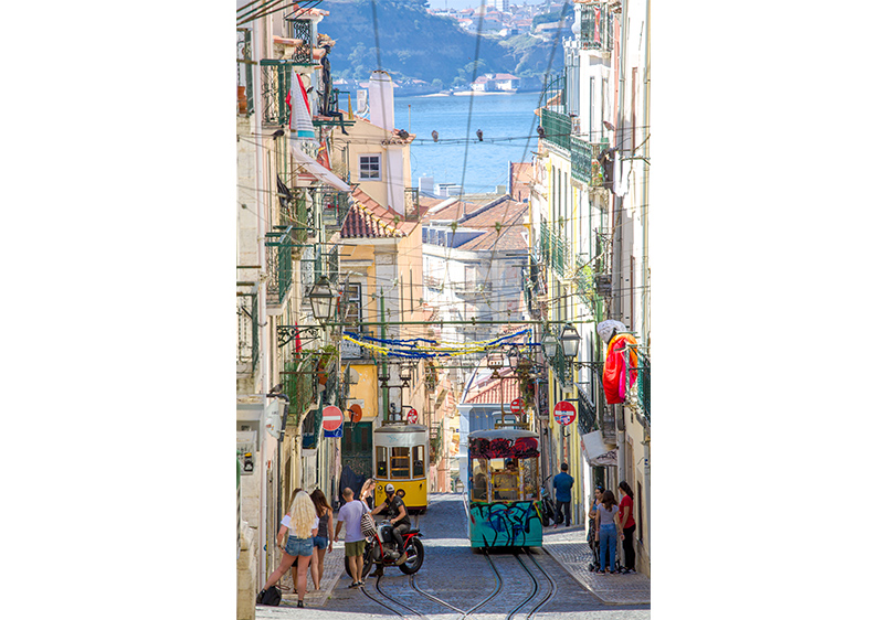 Elevador da Bica, 鄭立暐