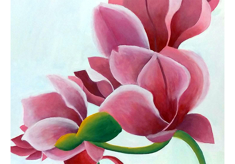 佚名240, 陳駿杰