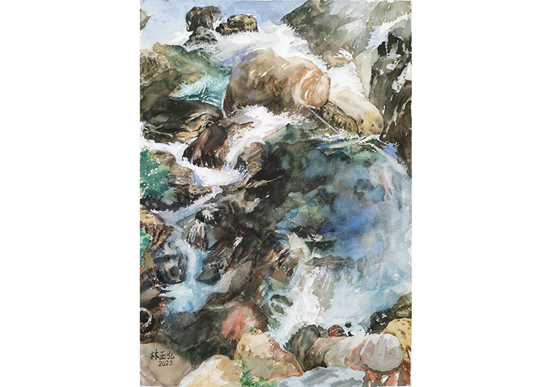 湍流, 林正弘